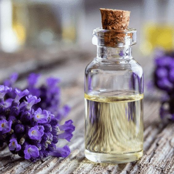 lavender essential oil, pure oils, healthy, skin care, wounds, anxiety, insomnia, rashes, aromatherapy