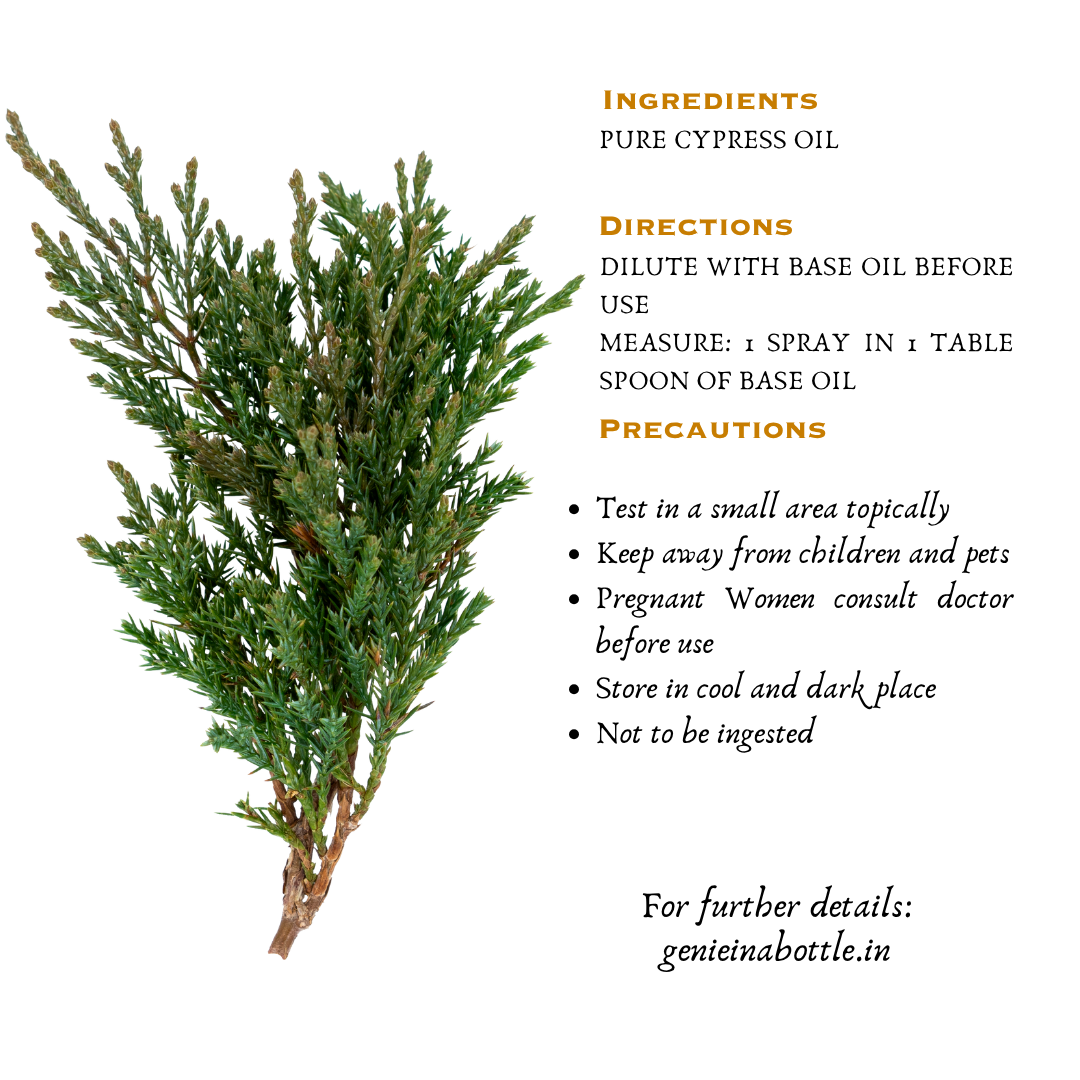Cypress Essential Oil