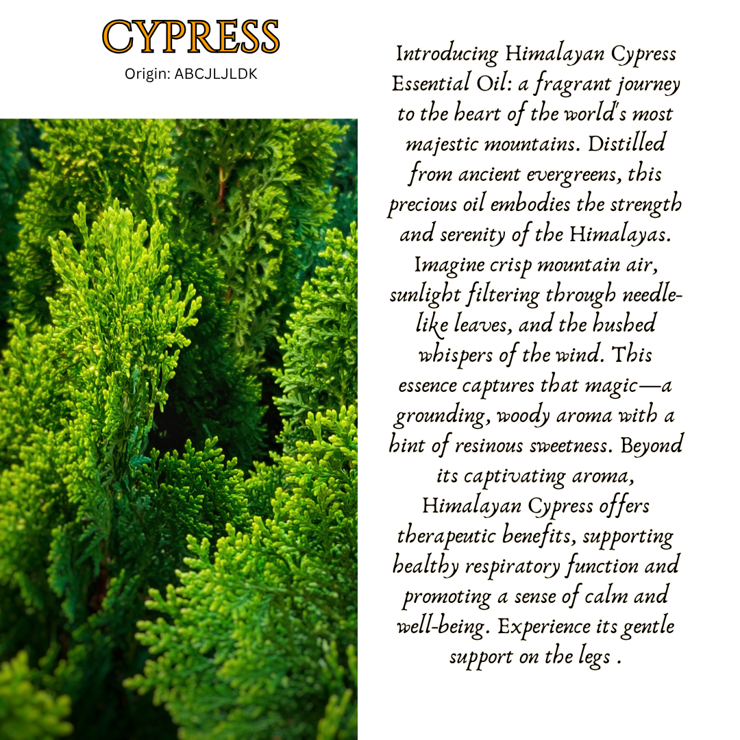Cypress Essential Oil
