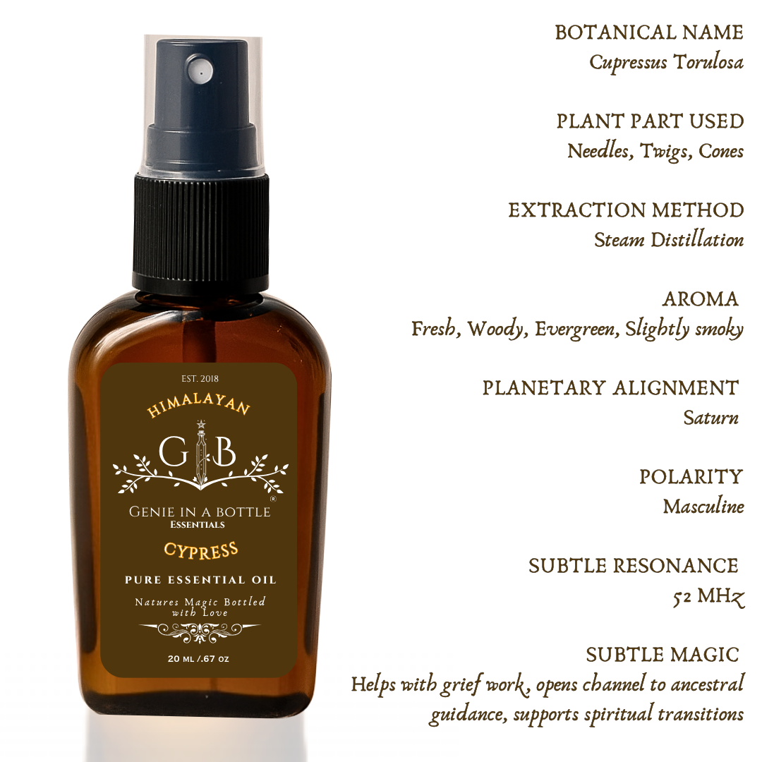Cypress Essential Oil
