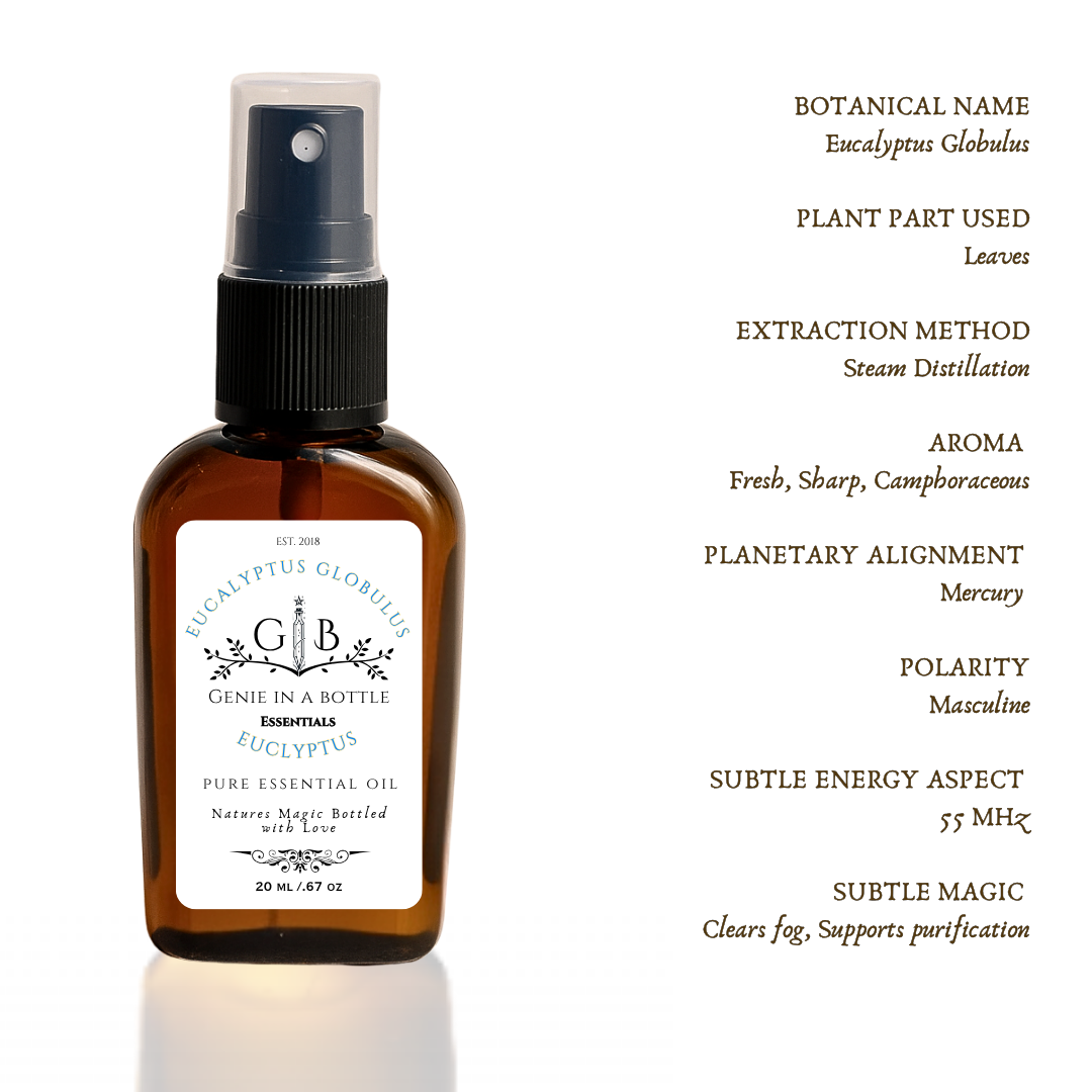 Eucalyptus Essential Oil