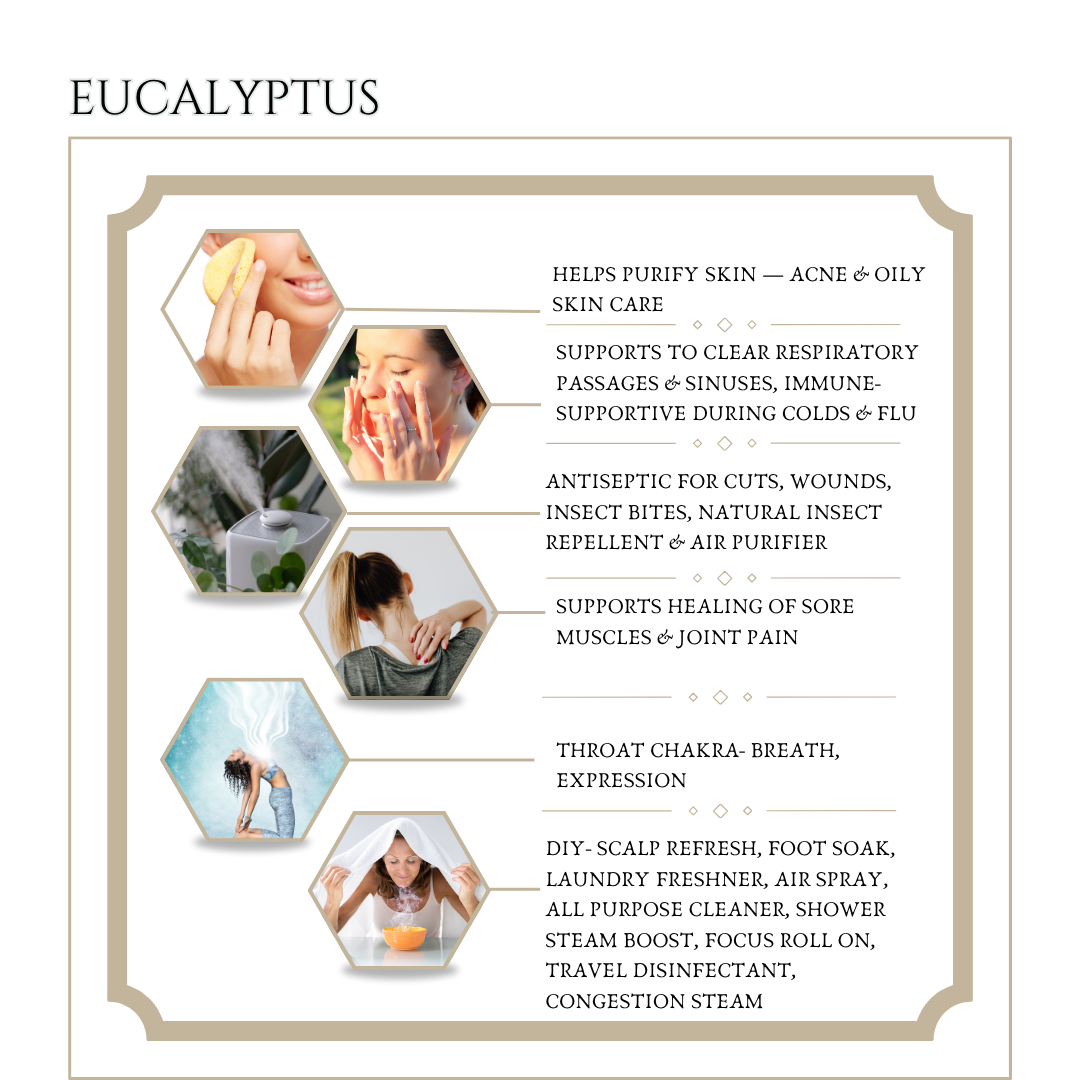 Eucalyptus Essential Oil