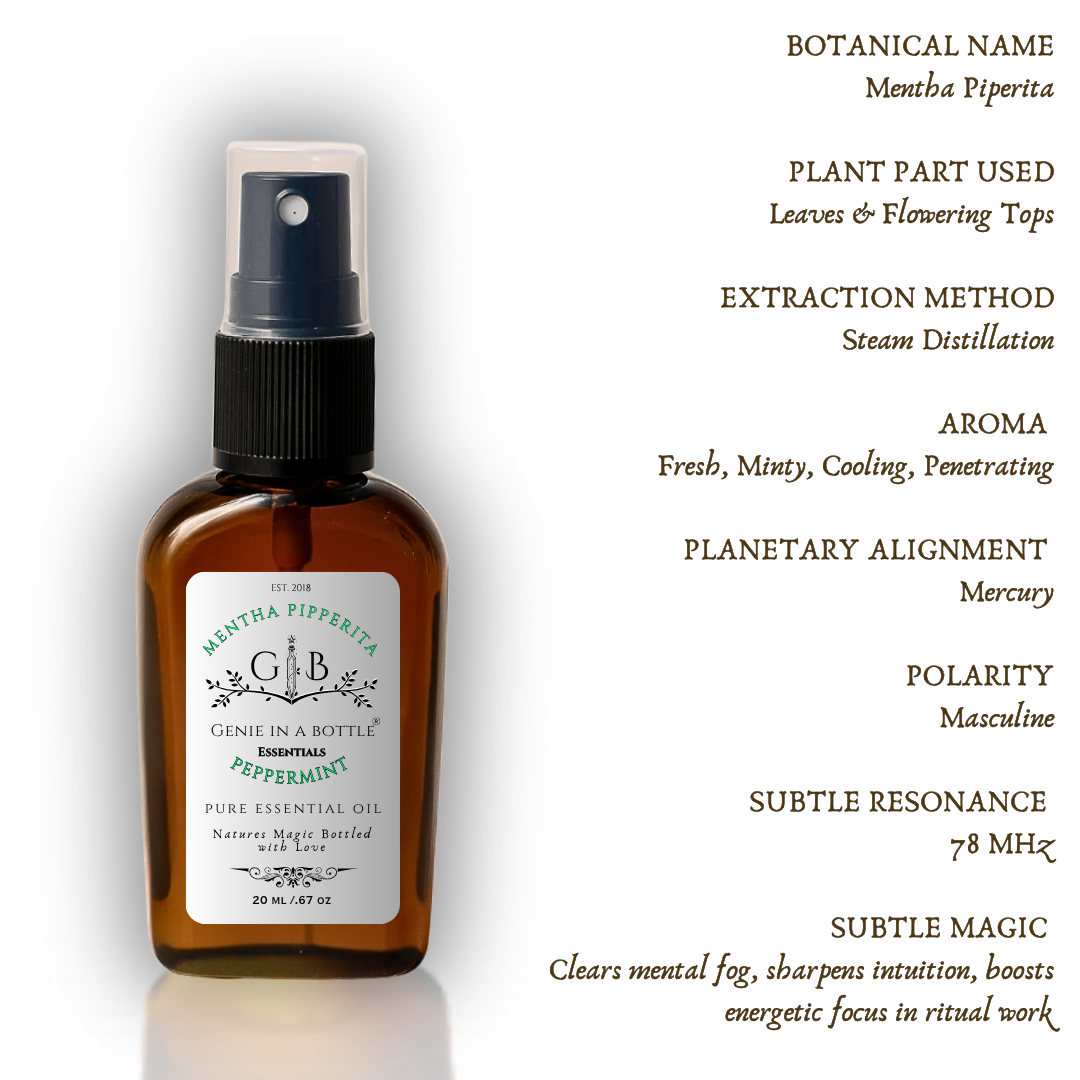 Peppermint Essential Oil