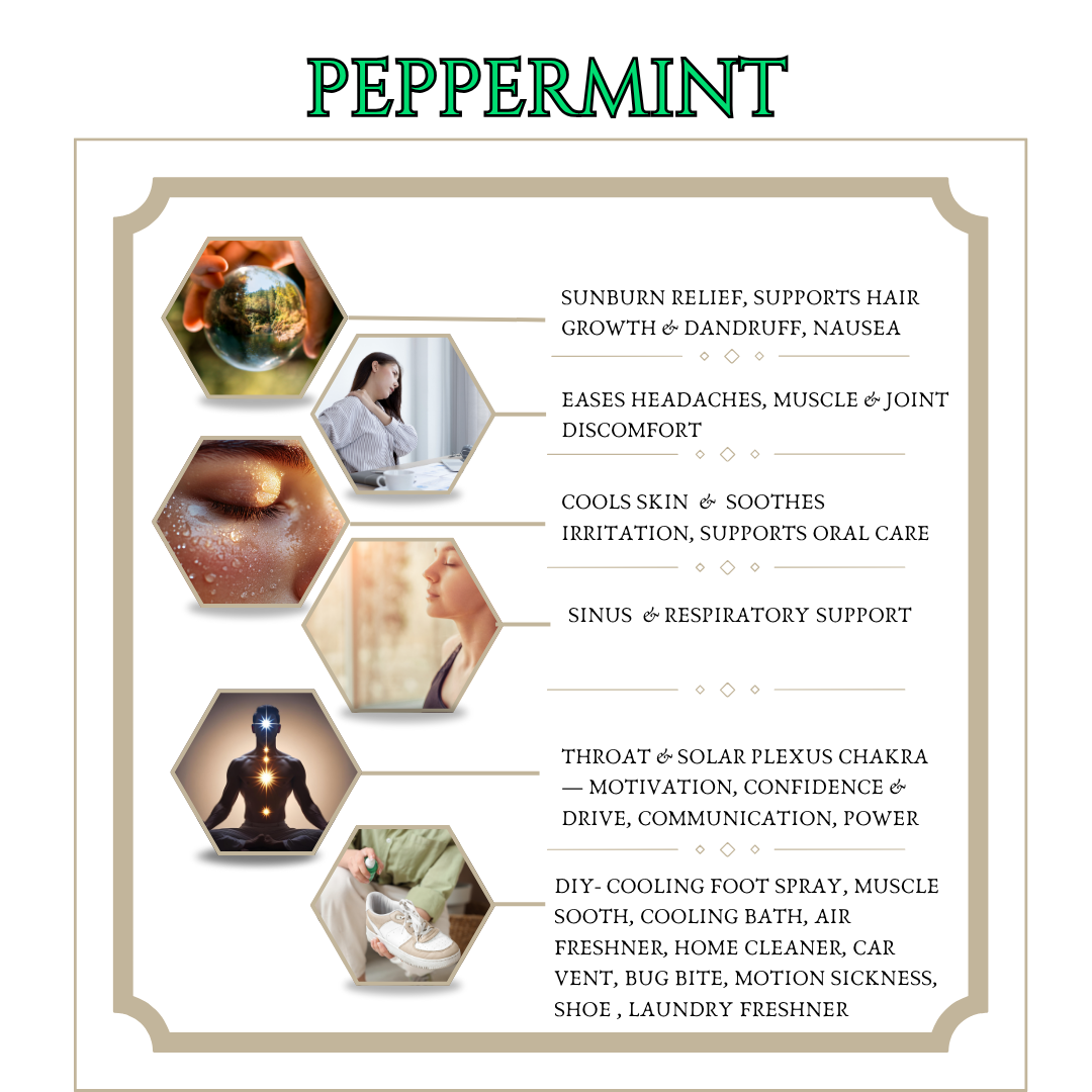 Peppermint Essential Oil