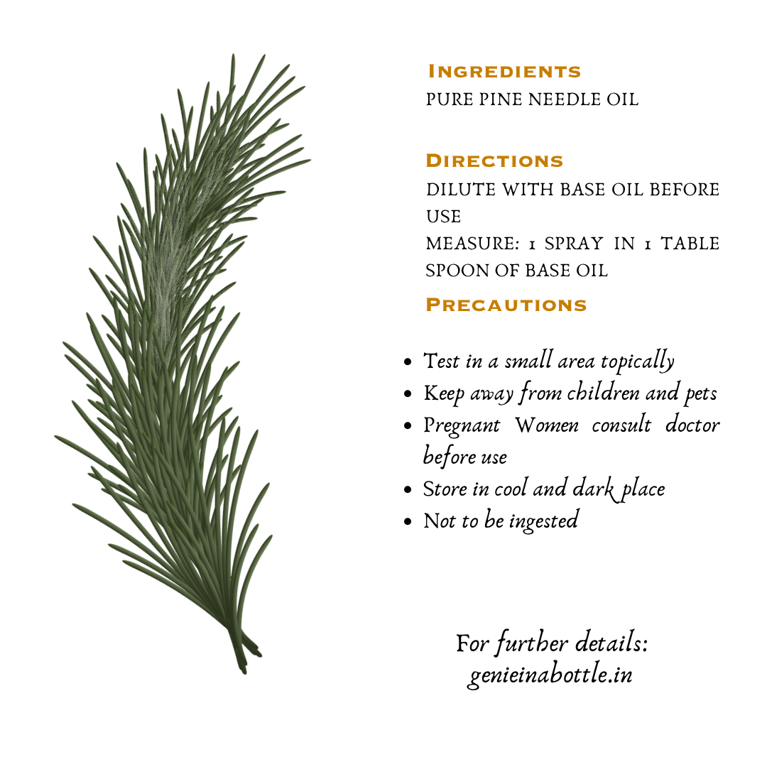 Himalayan Pine Needle Oil