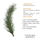 Himalayan Pine Needle Oil