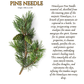 Himalayan Pine Needle Oil