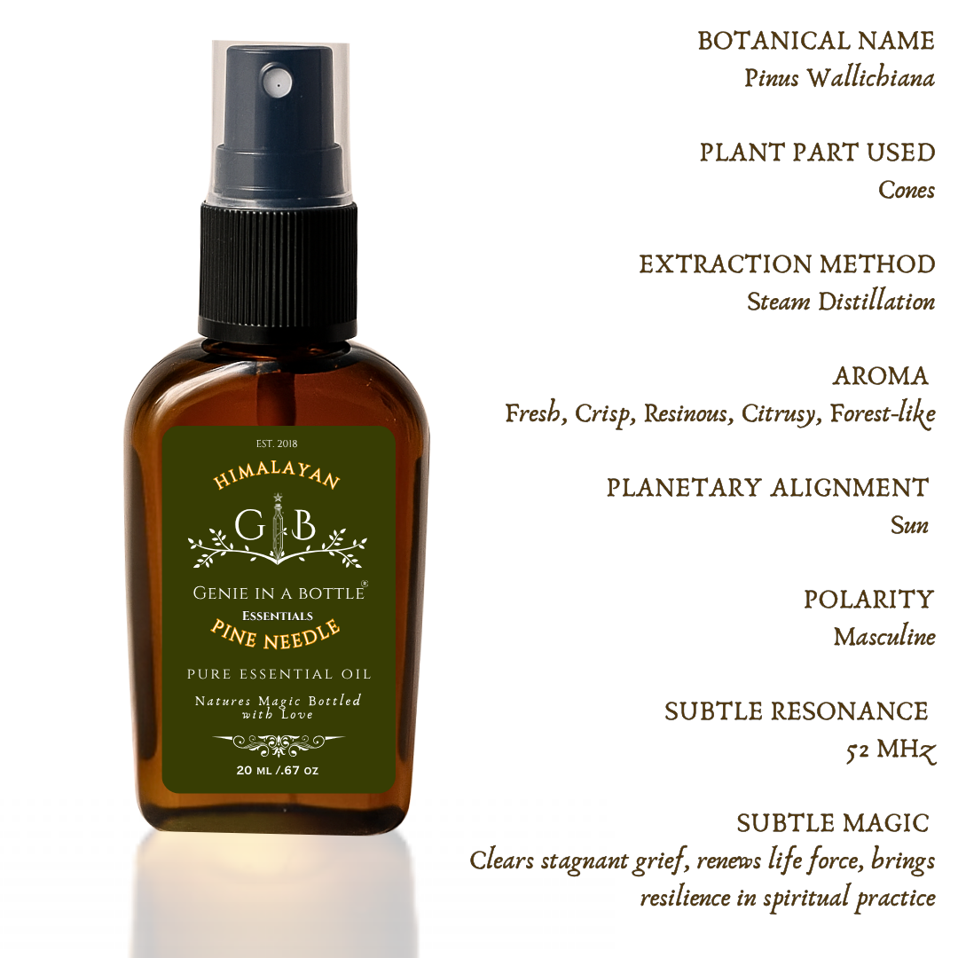 Himalayan Pine Needle Oil