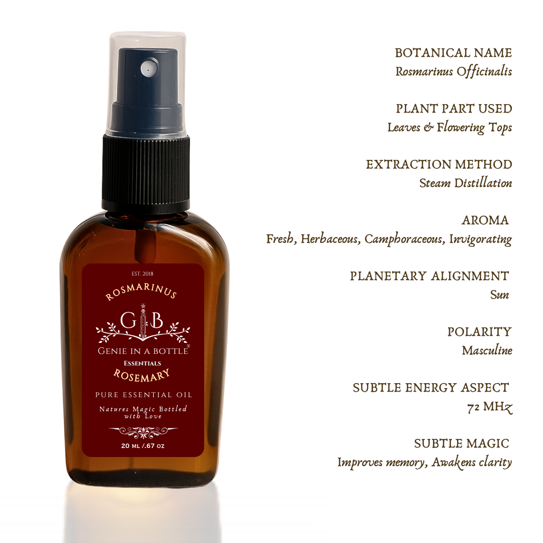 Rosemary Essential Oil