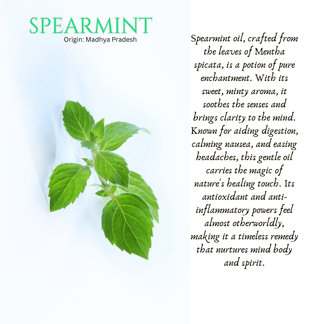 Spearmint Essential Oil