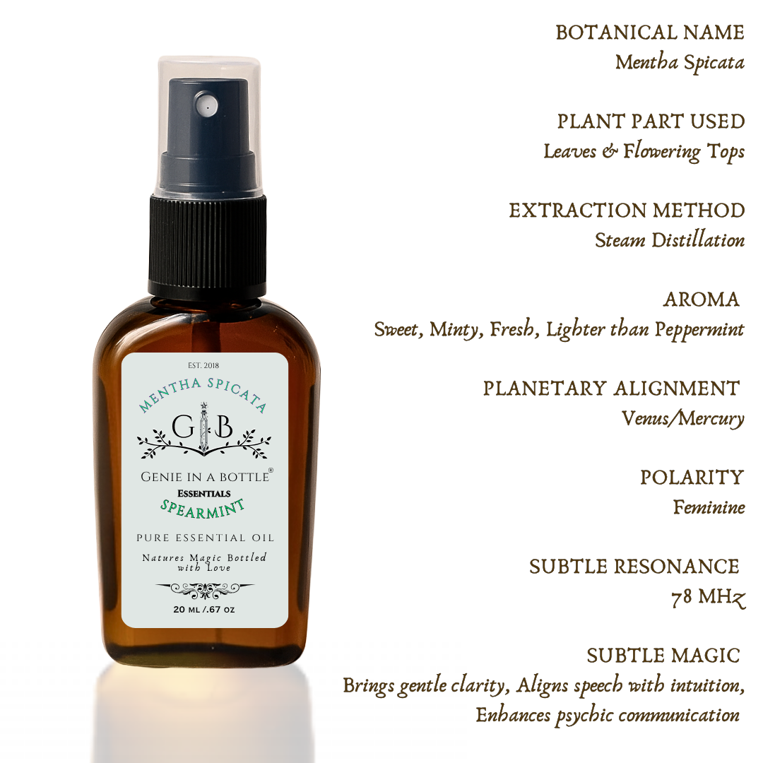 Spearmint Essential Oil