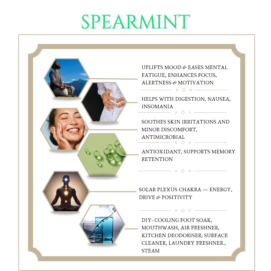 Spearmint Essential Oil